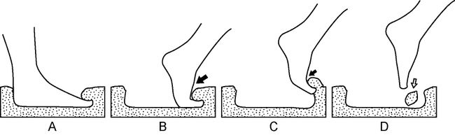 oldest-human-footprint-in-americas-may-be-this-15-600-year-old-mark-in