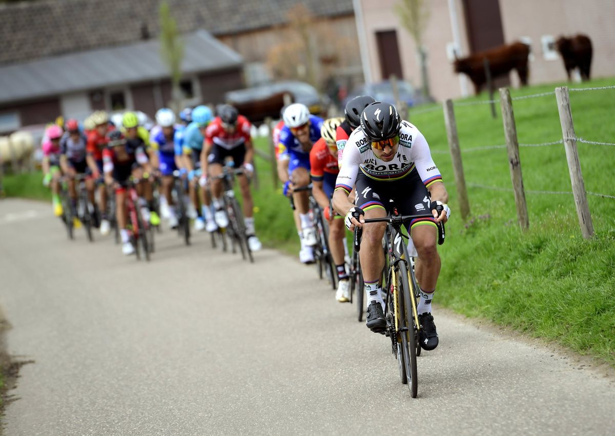 Peter Sagan (Bora-Hansgrohe)