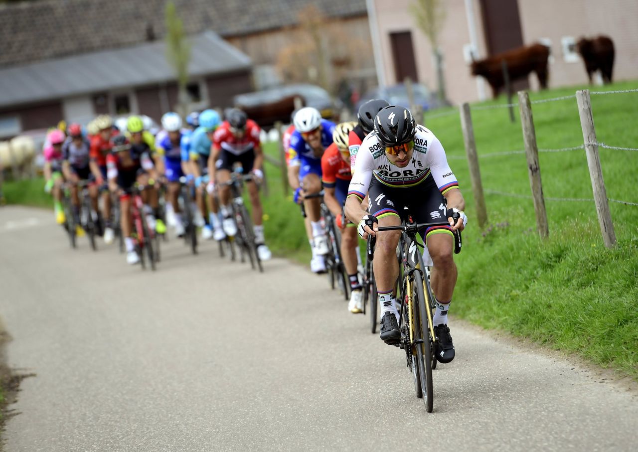 Peter Sagan (Bora-Hansgrohe)