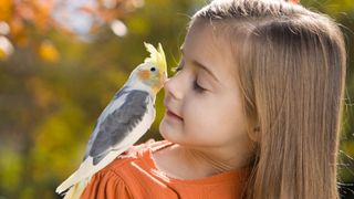 Bird with child