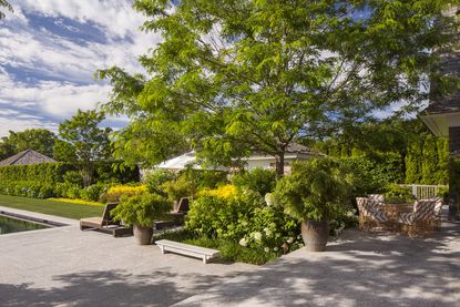 pool deck with lush green planting and trees