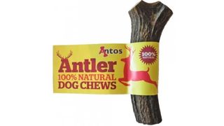 Antos Antler dog chew toy
