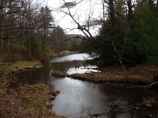 This stream runs through the scout camp - perfect for taking a dip after each stage.