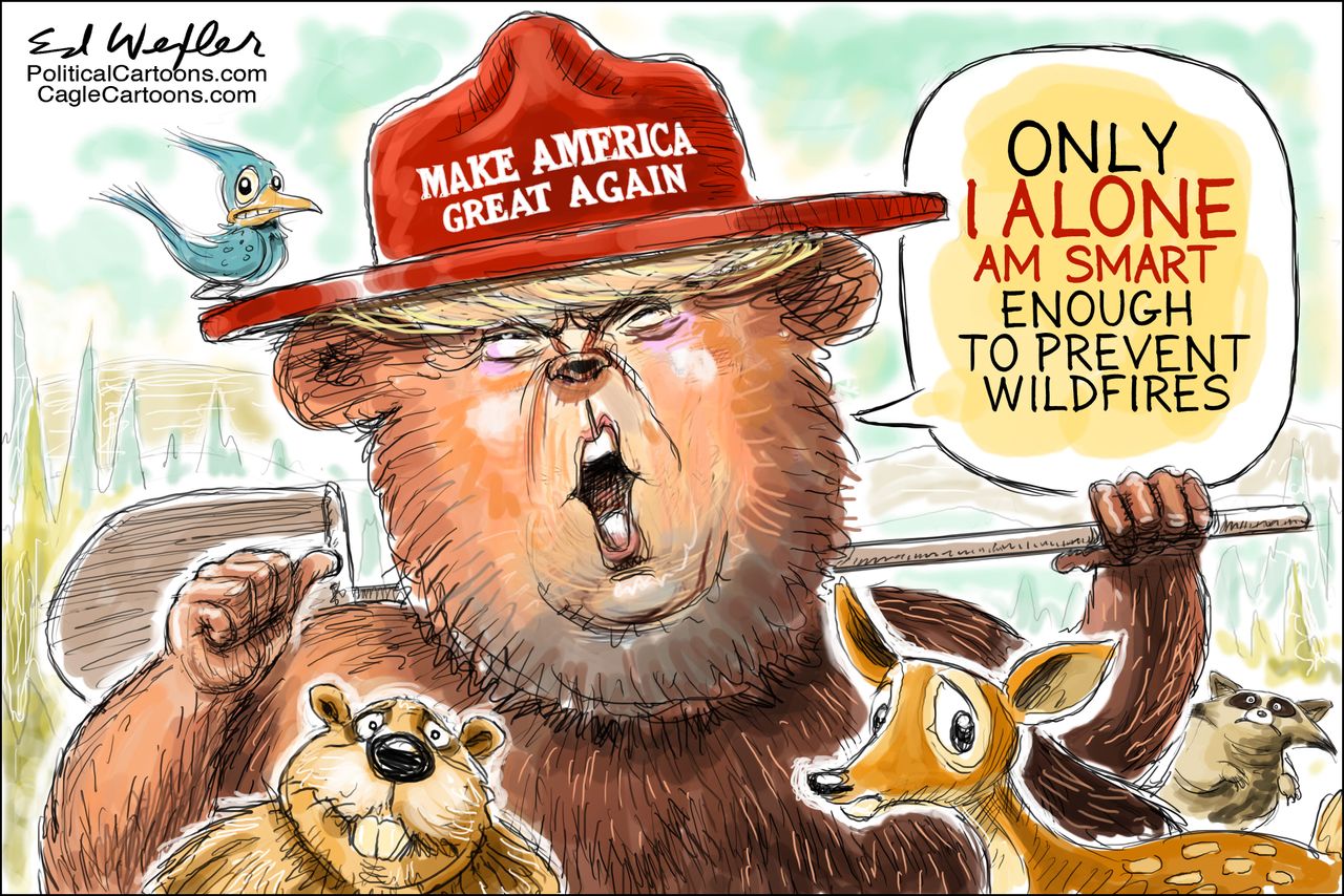 U.S. Trump California forest fires Smokey the Bear hold federal funding