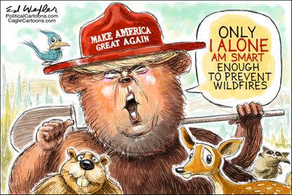 U.S. Trump California forest fires Smokey the Bear hold federal funding