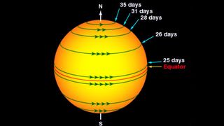 Does the sun rotate?: rotation of the sun by latitude