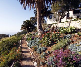 A tropical garden and path in front of a house