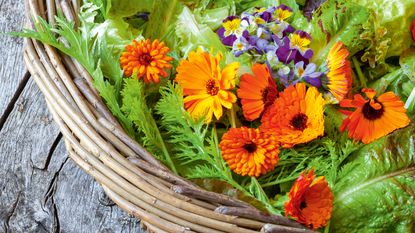 grow your own garden a basket full of mixed salad leaves and edible flowers