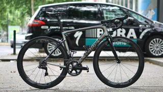 Peter Sagan has a custom camo-fade paintjob on his new Spcialized S-Works Tarmac