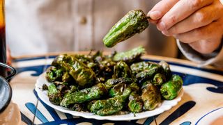 Grilled padron peppers