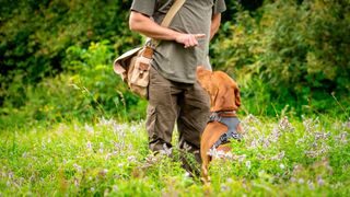 Man teaching a dog to stay in a field