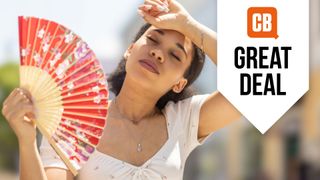 Woman being fanned by fan