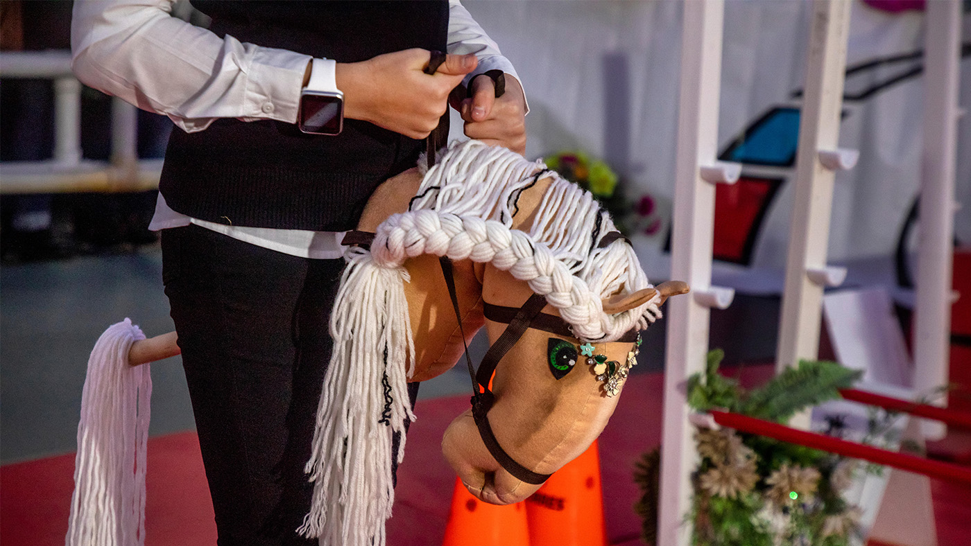 Hobbyhorse competition