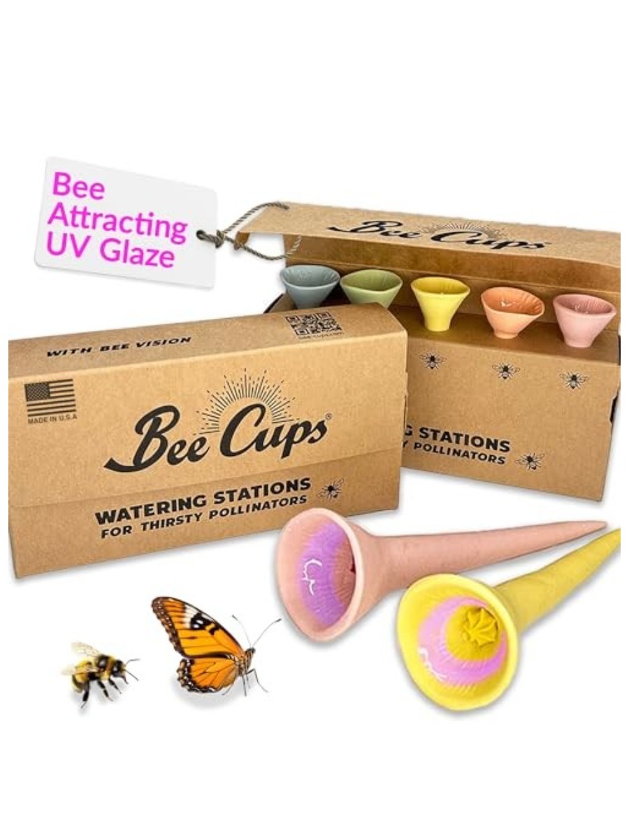 Bee Cups 5 Pack