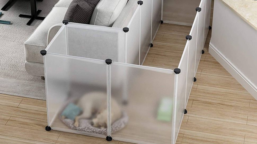 Best dog playpen 2021 Keep your pooch safe and contained when