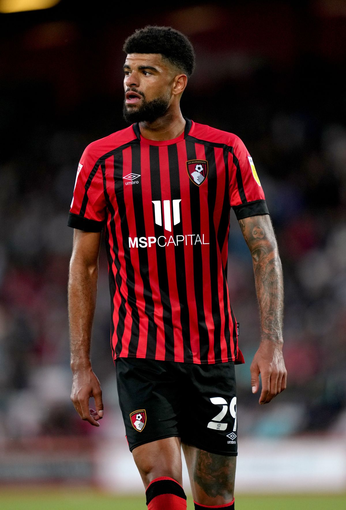 AFC Bournemouth v West Bromwich Albion – Sky Bet Championship – Vitality Stadium