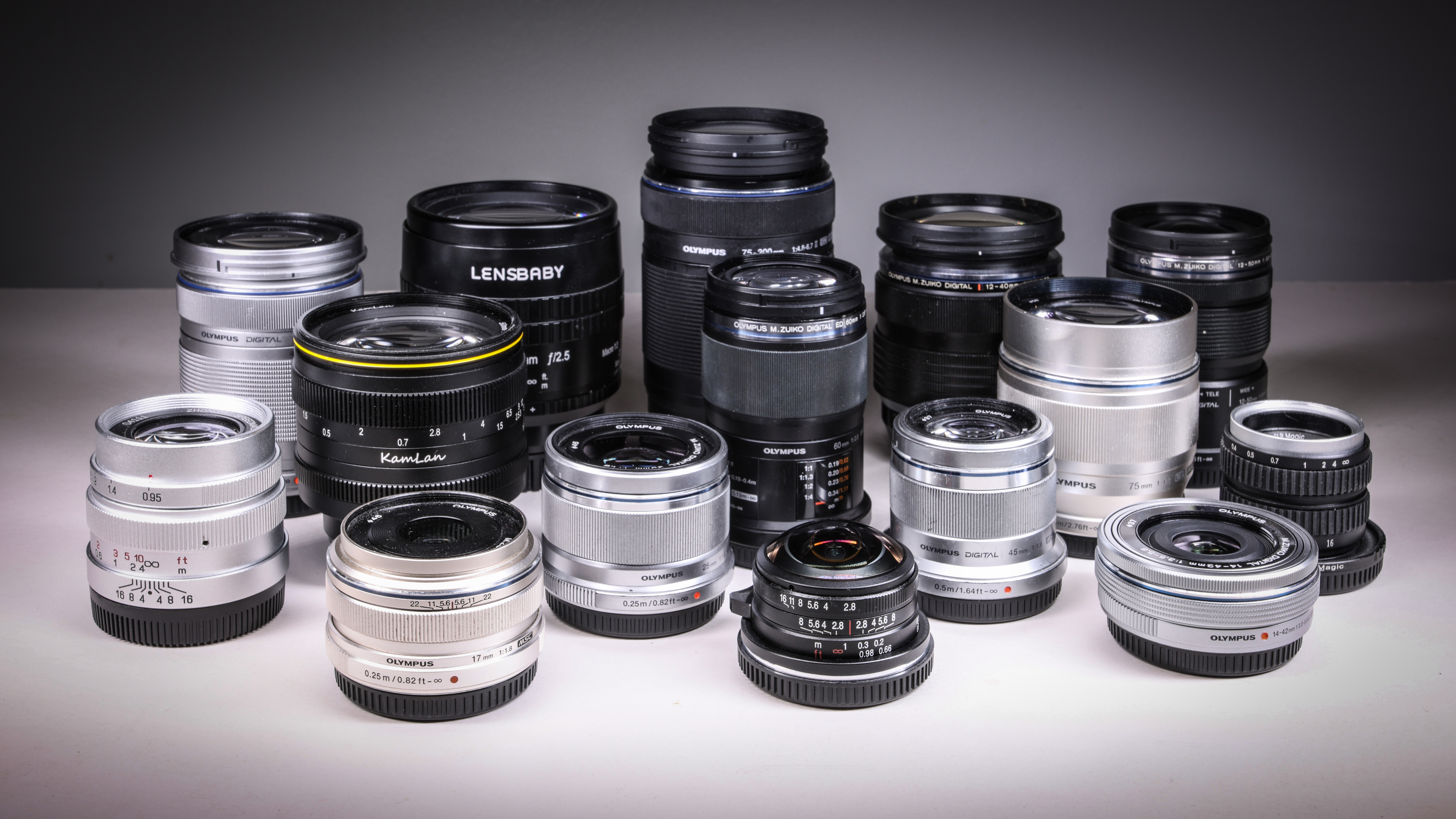 Beide grafiek Ontslag nemen The best Micro Four Thirds lenses in 2023 | Digital Camera World