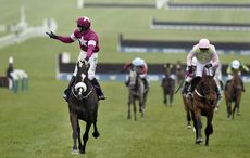Don Cossack retires