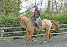 dressage_test02-hr.jpg