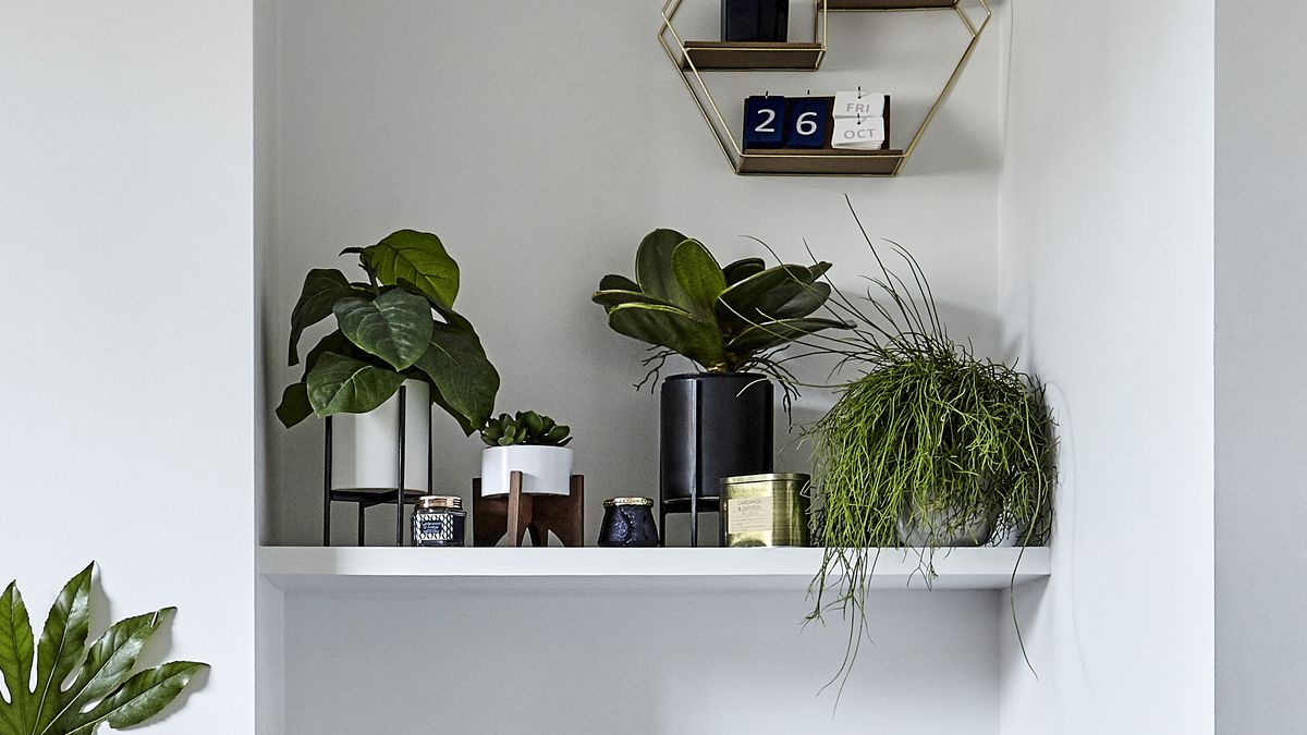 How to install a floating shelf | Real Homes