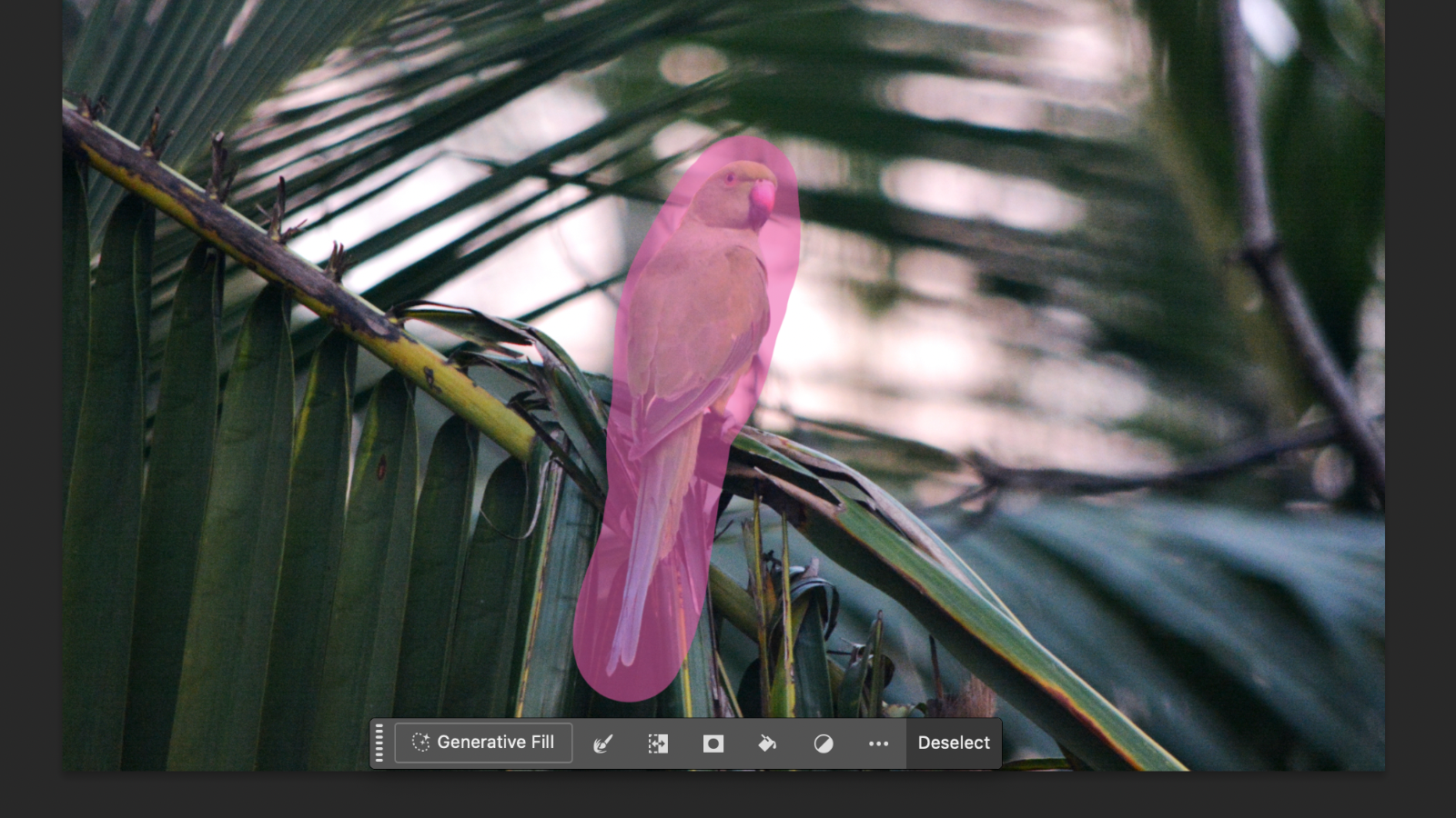 Screenshot of the selection tool in Adobe Photoshop