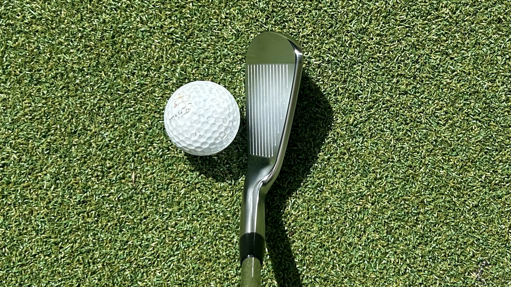 Photo of the Vega Mizar Pro Cavity Irons at address
