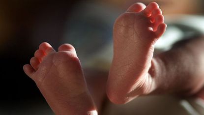A baby's feet