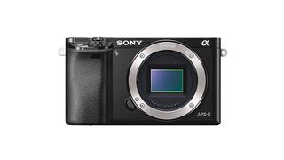 Best cheap camera: Sony Alpha 6000