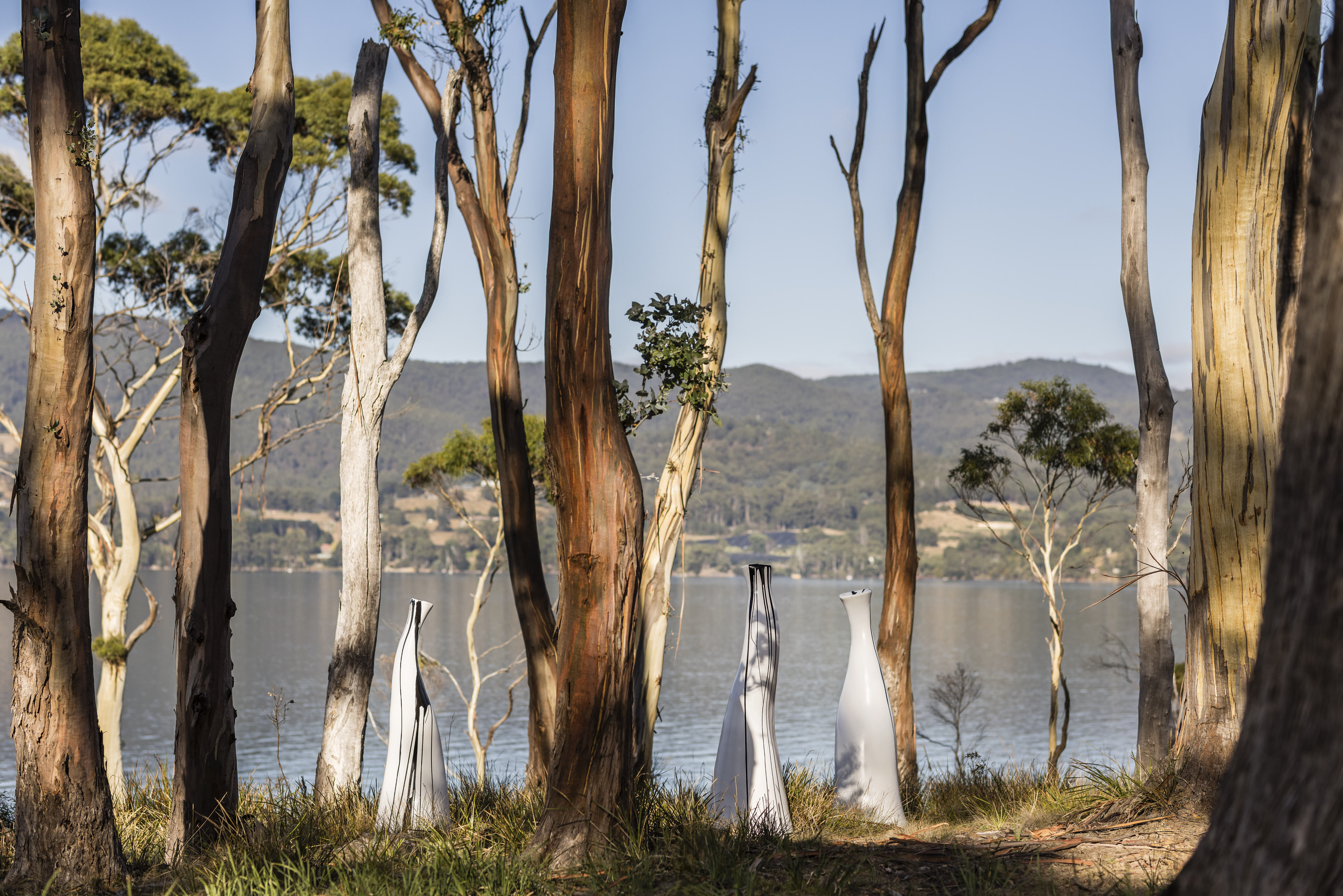 vipp tunnel tasmania review