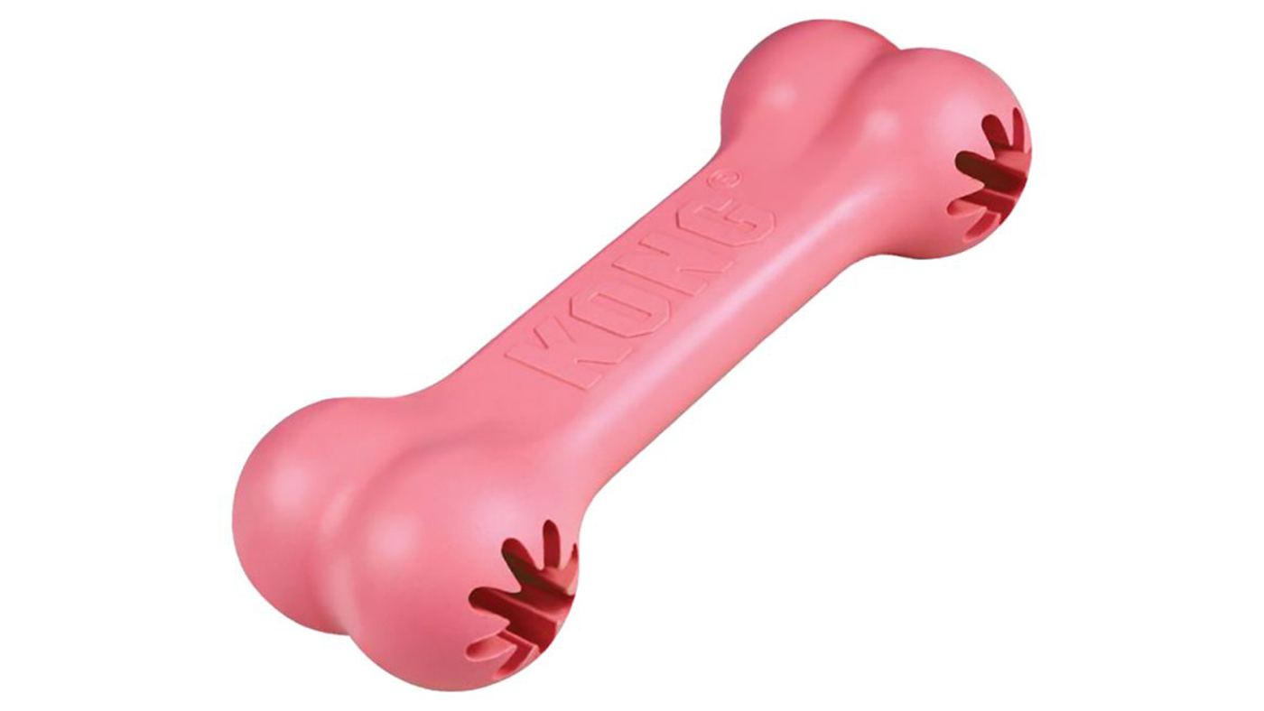 Kong Puppy Goodie Bone