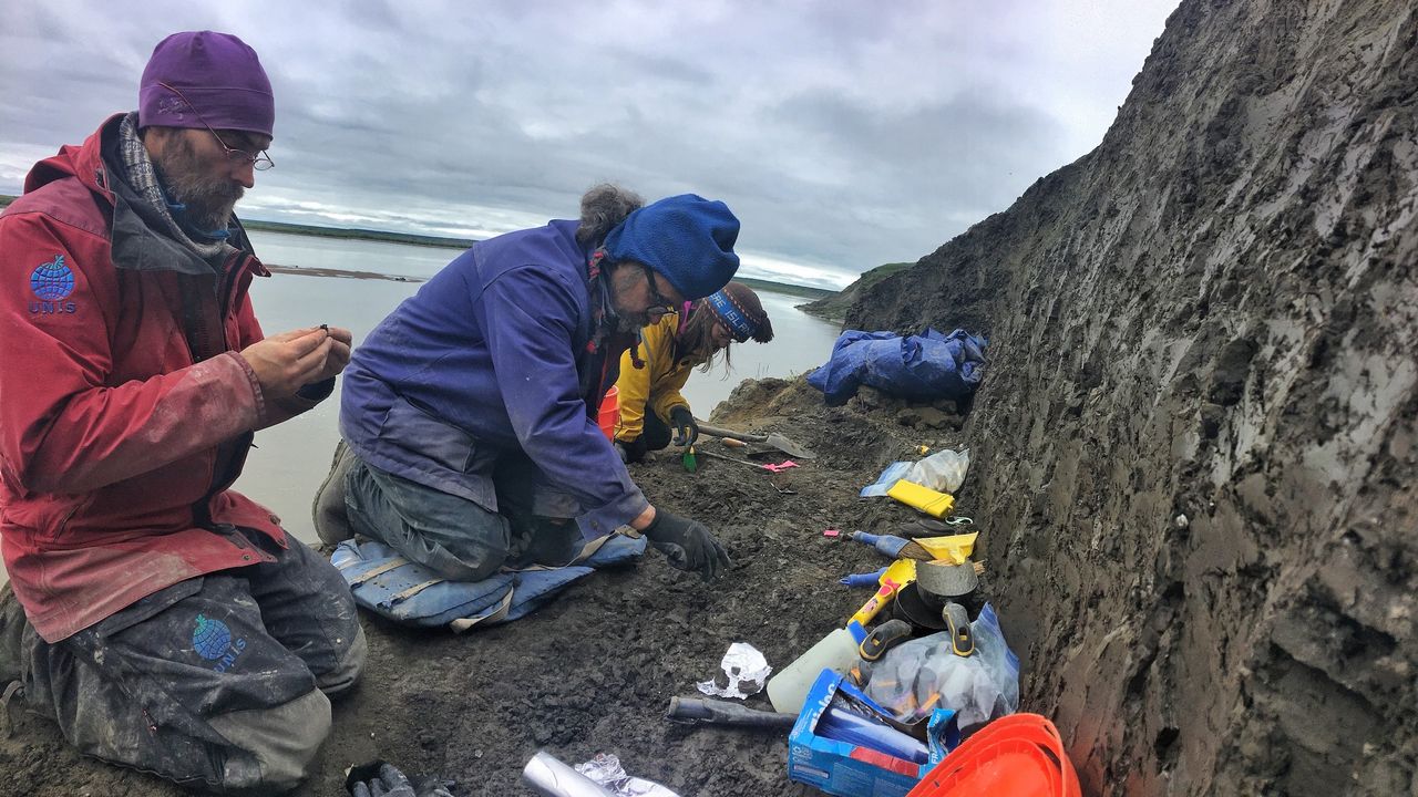 Researchers dig in the bluff on a rainy day.