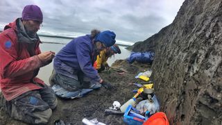 Researchers dig in the bluff on a rainy day.