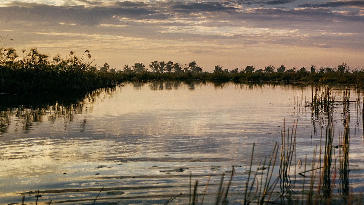 Okavango Delta dusk