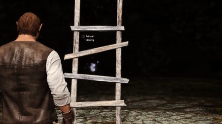 Skyrim ladders mod
