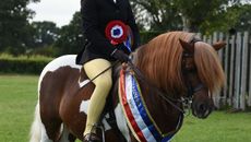 HorseNo1114_RHIS_PN16_23023-3.jpg