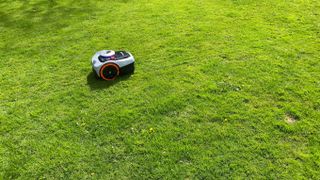 Segway Navimow iSeries 105E on the user's lawn