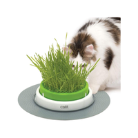 Catit Senses 2.0 Cat Grass Planter | Amazon