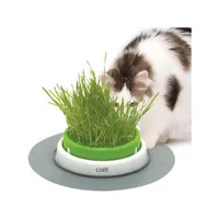Catit Senses 2.0 Cat Grass Planter | Amazon