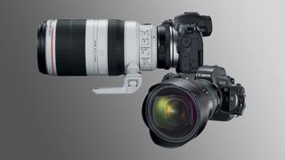 Canon R system rebates