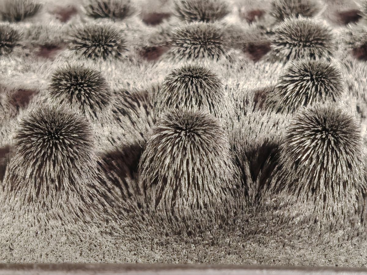 A photo taken from the Honor Magic 8 Lite of iron on magnets at 3x zoom