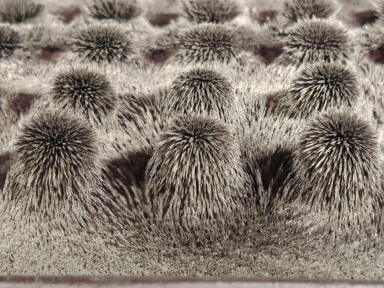 A photo taken from the Honor Magic 8 Lite of iron on magnets at 3x zoom