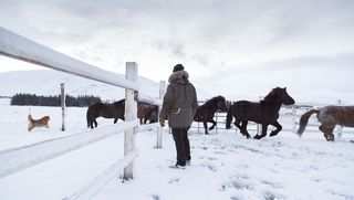 Wallpaper* & Parajumpers: Icelandic adventure