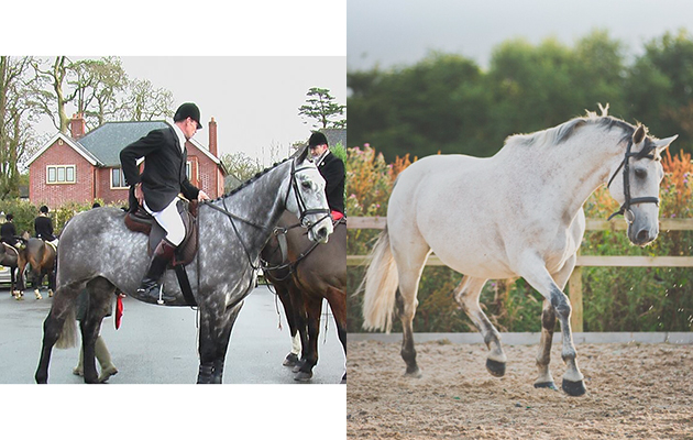 &ldquo;This is my boy Blue, pictured as a six-year-old just over from Ireland and one as a 14-year-old&rdquo; &mdash; Emily Hooper