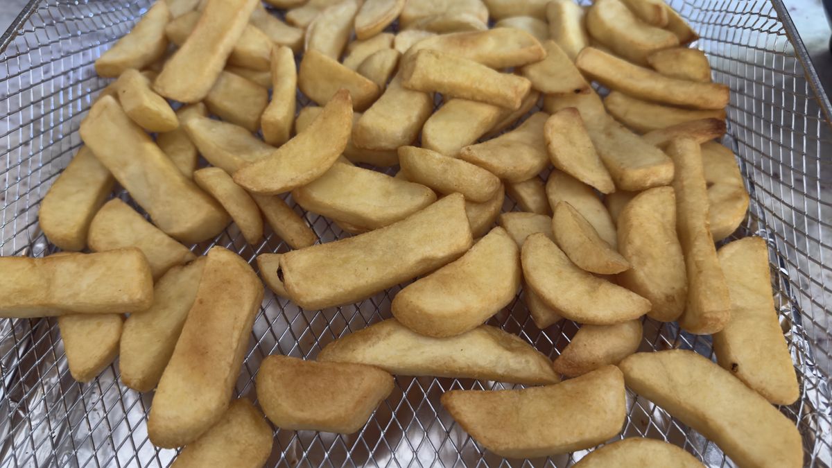 French fries made in Ninja French Door Air Fryer and Countertop Oven