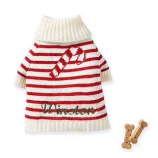 A product image of a red and white stripe dog Christmas sweater with a candy cane design and an engraved 'Winston' in green on the back, for Christmas sweaters for dogs.