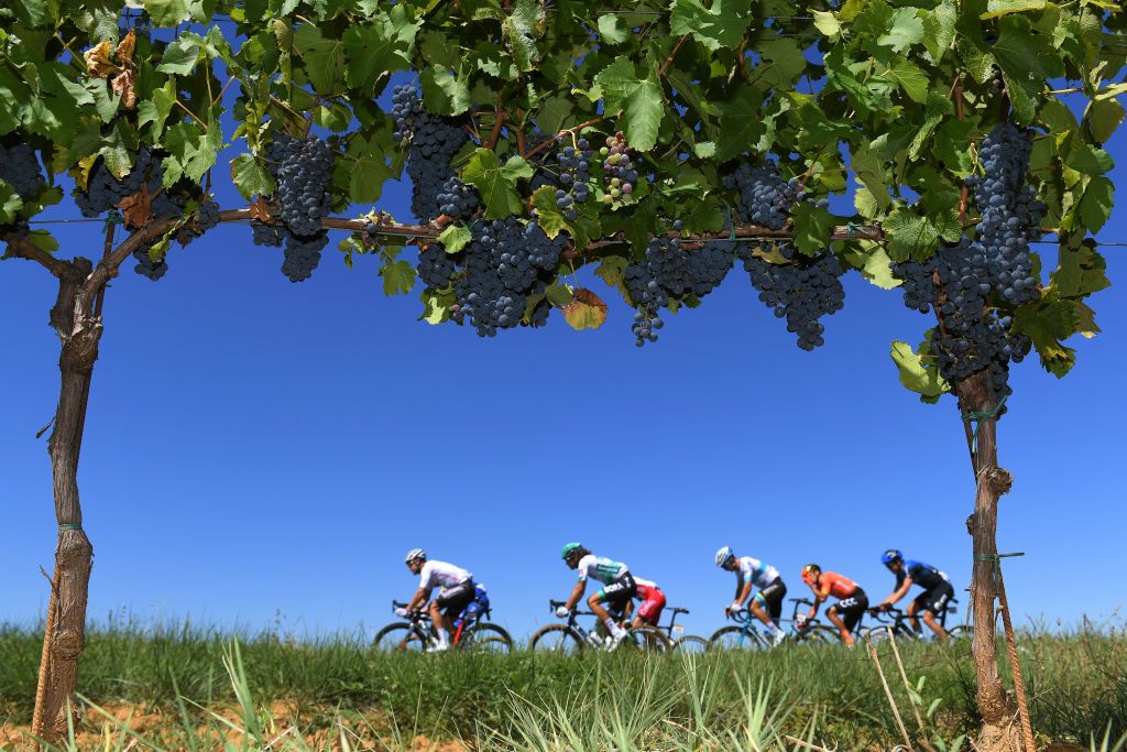 GARD FRANCE SEPTEMBER 03 Jesus Herrada Lopez of Spain and Team Cofidis Solutions Credits Remi Cavagna of France and Team Deceuninck QuickStep Nicholas Roche of Ireland and Team Sunweb Edvald Boasson Hagen of Norway and NTT Pro Cycling Team Greg Van Avermaet of Belgium and CCC Team Alexey Lutsenko of Kazahkstan and Astana Pro Team Neilson Powless of The United States and Team EF Pro Cycling Daniel Oss of Italy and Team Bora Hansgrohe Breakaway Greaps Landscape during the 107th Tour de France 2020 Stage 6 a 191km stage from Le Teil to Mont AigoualGard 1560m TDF2020 LeTour on September 03 2020 in Gard France Photo by Tim de WaeleGetty Images