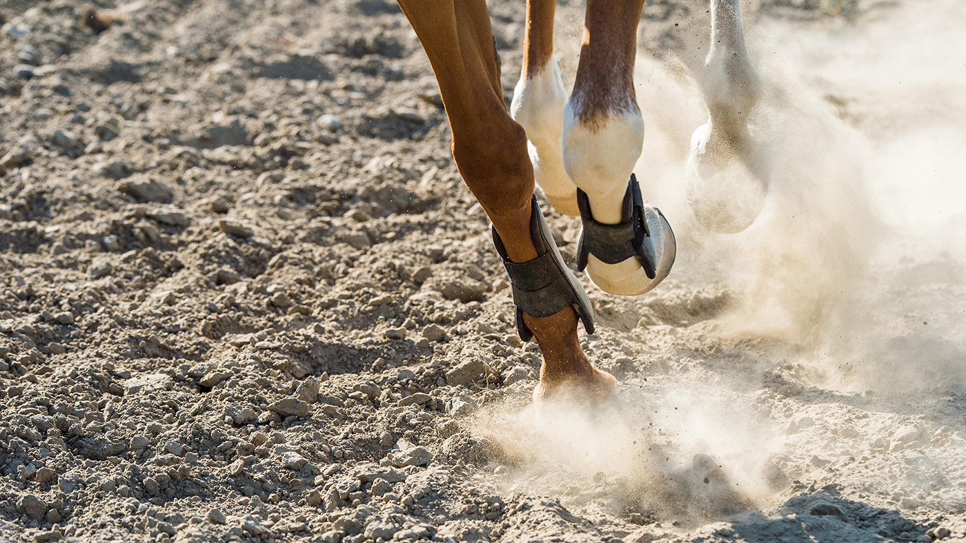 EHV UK quarantine restrictions lifted