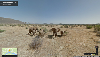 A family of elephants viewed with Google Street View.