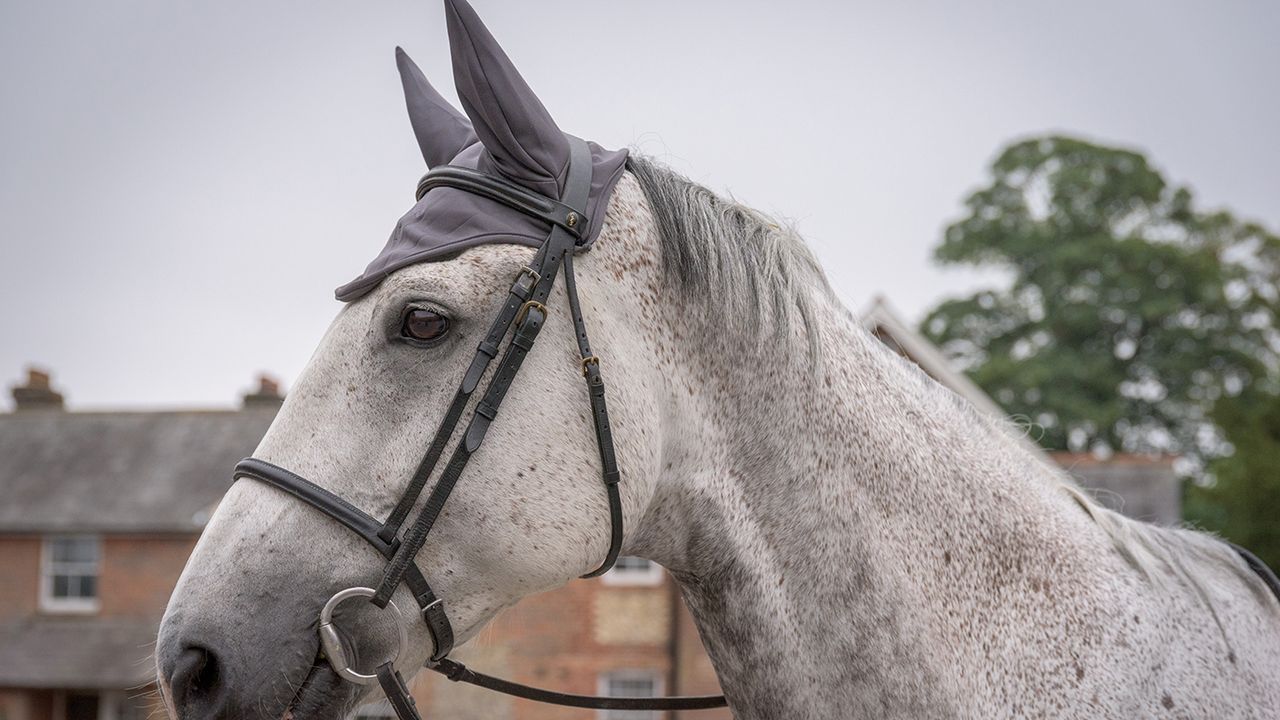Fenwick Liquid&nbsp;Titanium ear bonnet review