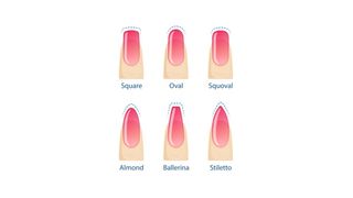 Illustration of different nail shapes